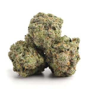 Peach Crescendo cannabis buds showcasing soft peach hues and trichome frosts