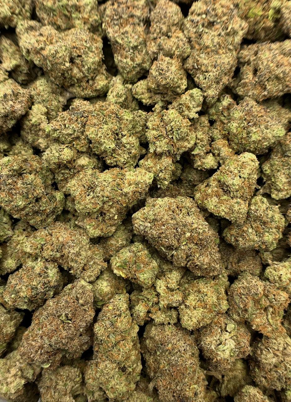 GMO THCa Flower 2 GMO THCa Flower - Image 2