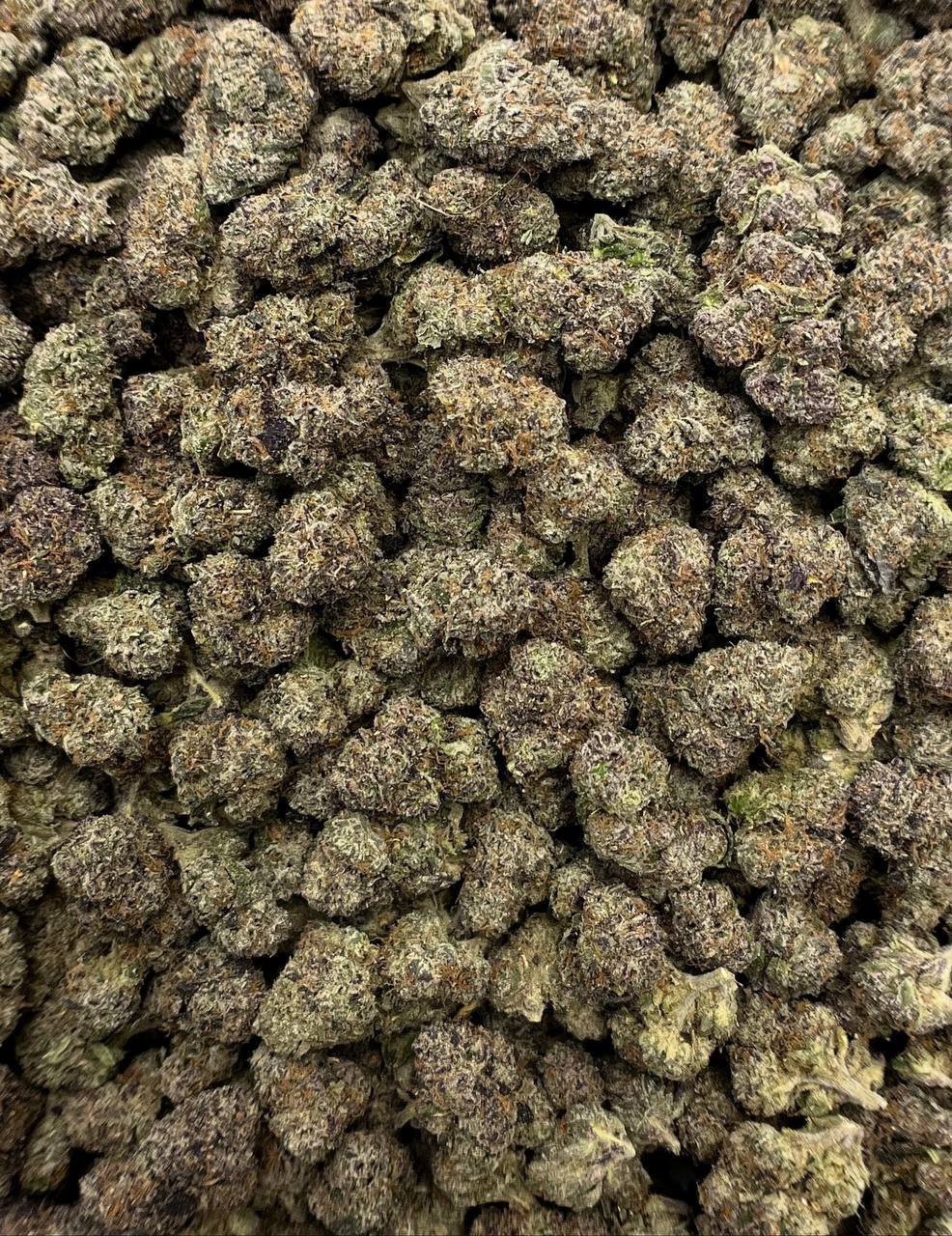 Pink Runtz THCa Flower 2 Pink Runtz THCa Flower - Image 2
