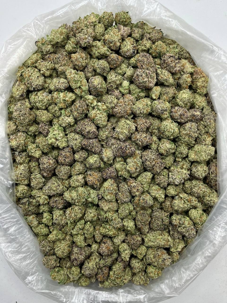 Purple Punch THCa Flower 2 Purple Punch THCa Flower - Image 2