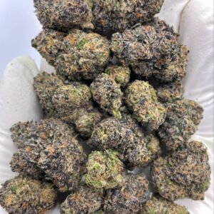 Candy Marker THCa Flower