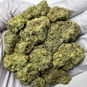Cereal Milk THCa Flower