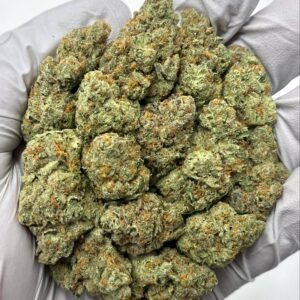 Cheetah Piss THCa Flower