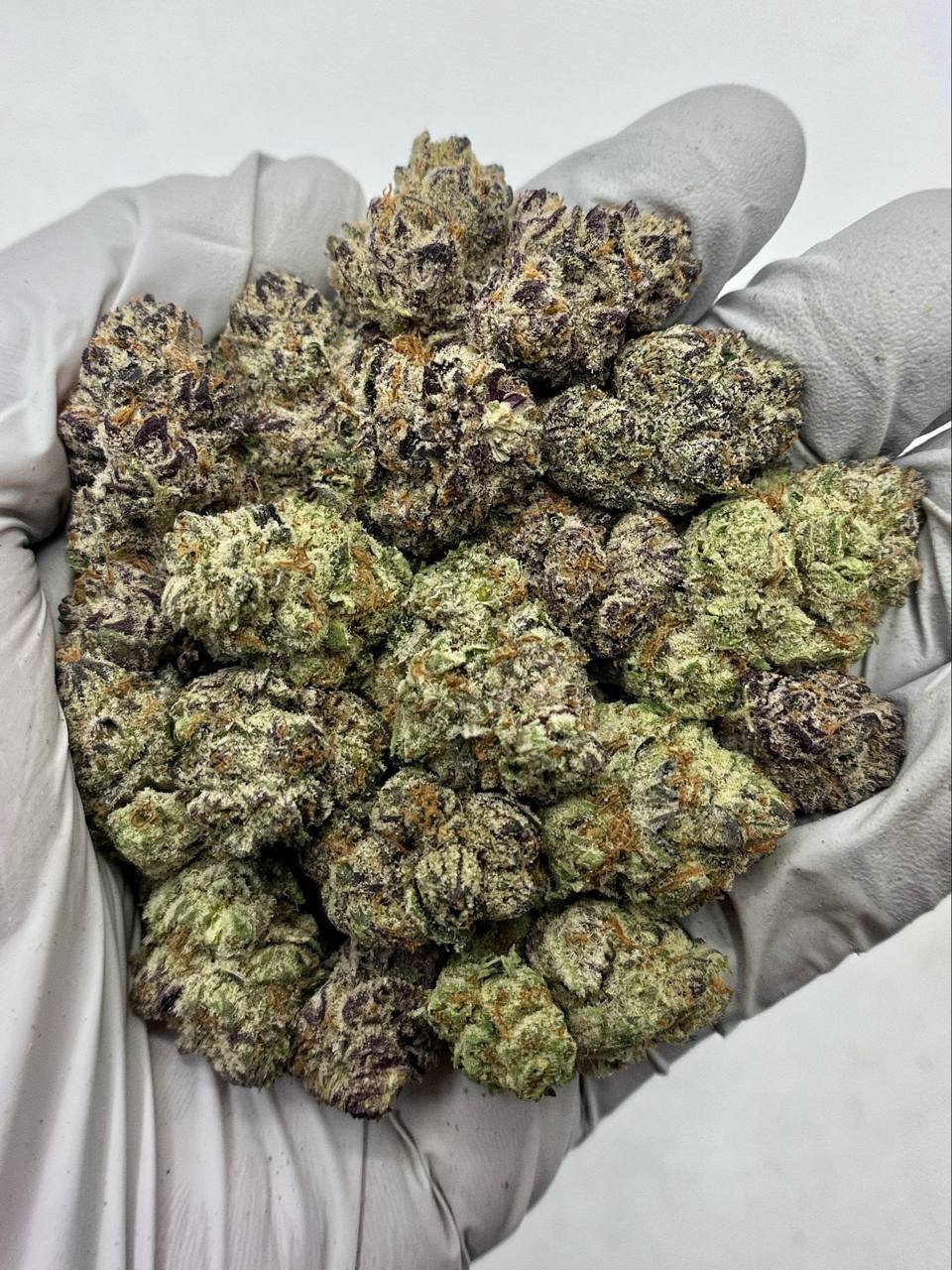 Purple Punch THCa Flower 1 Purple Punch THCa Flower