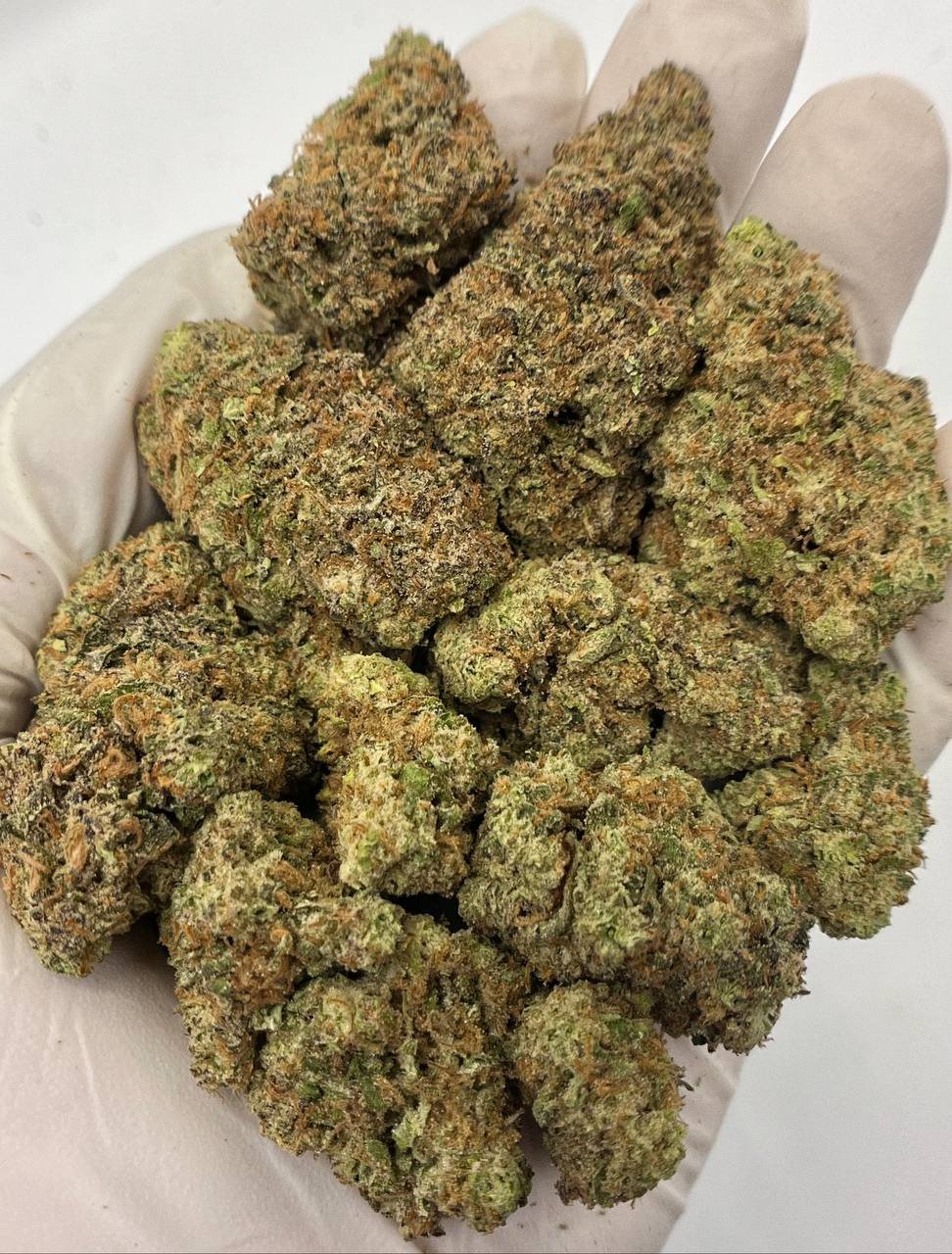 GMO THCa Flower 1 GMO THCa Flower