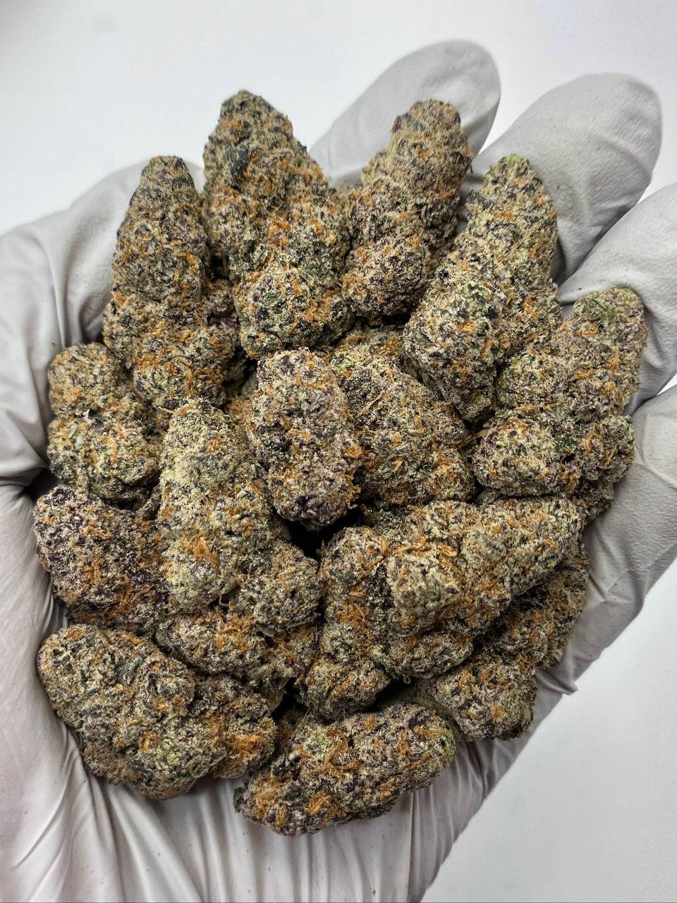 Grape Gas THCa Flower 1 Grape Gas THCa Flower