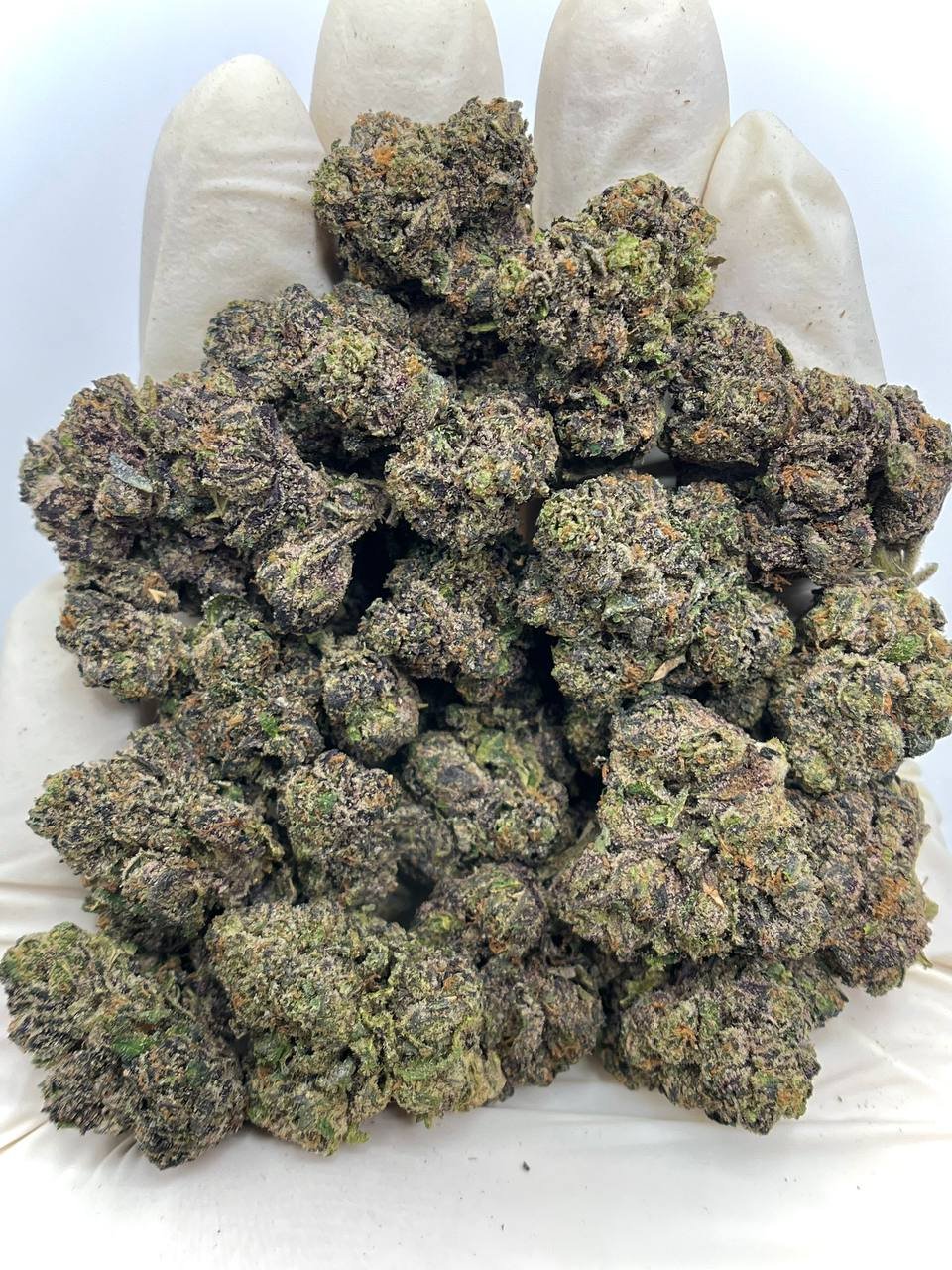 Gumbo THCa Flower 1 Gumbo THCa Flower