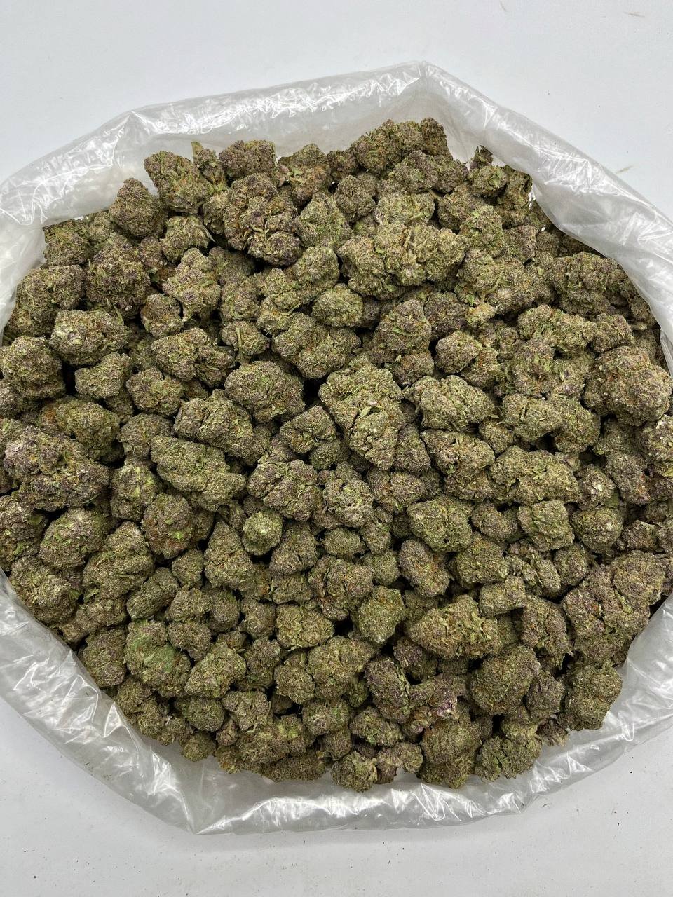 Tropicana Cherries THCa Flower 2 Tropicana Cherries THCa Flower - Image 2