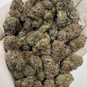 Pink Runtz THCa Flower