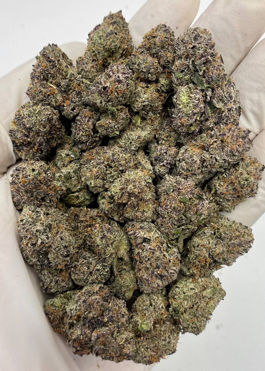 Pink Runtz THCa Flower 1 Pink Runtz THCa Flower