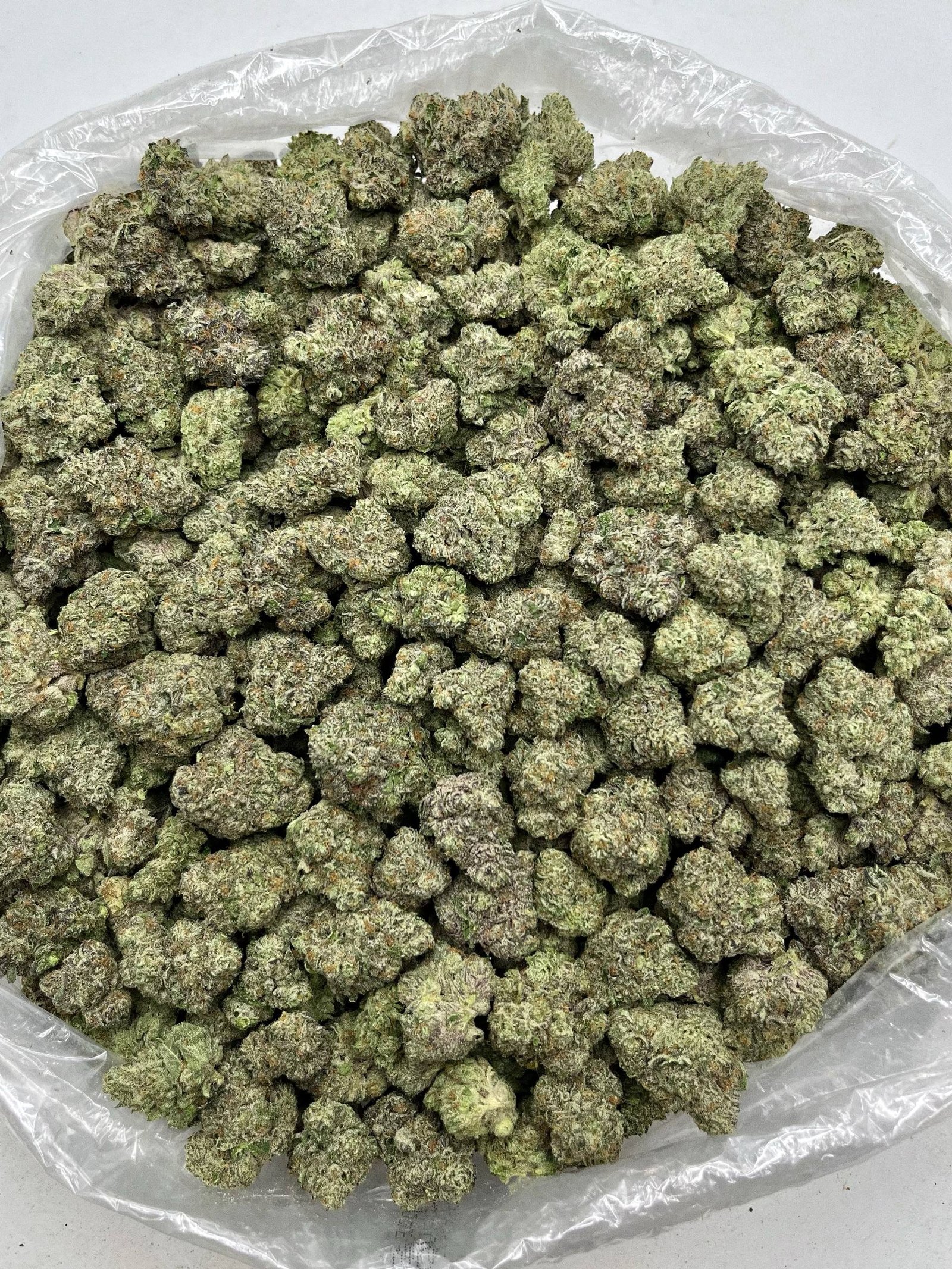 Sherbert THCa Flower 2 Sherbert THCa Flower - Image 2