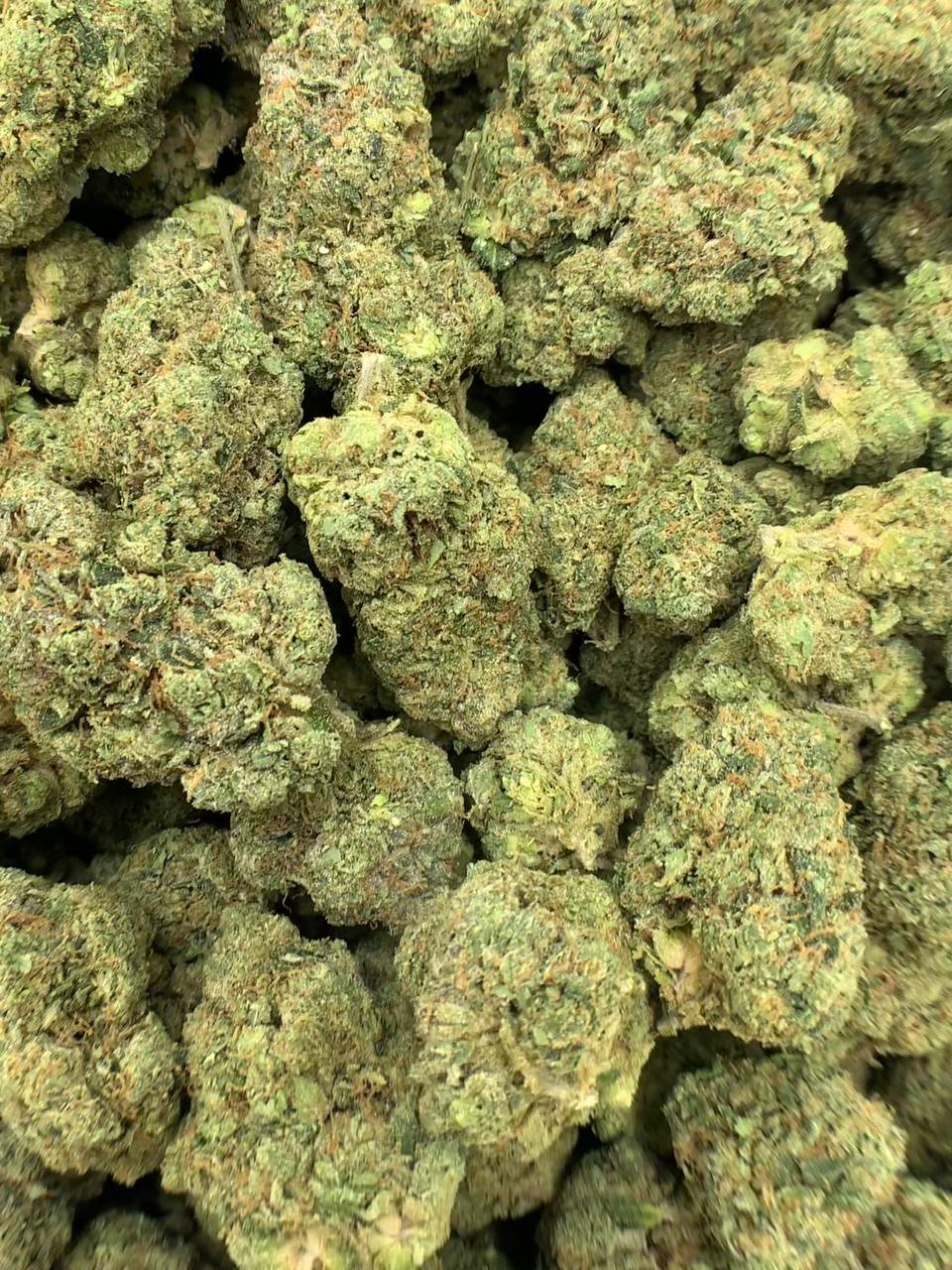 Zkittlez THCa Flower 2 Zkittlez THCa Flower - Image 2
