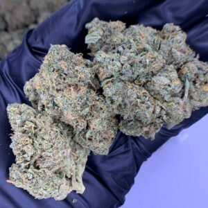 RS11 THCa Flower