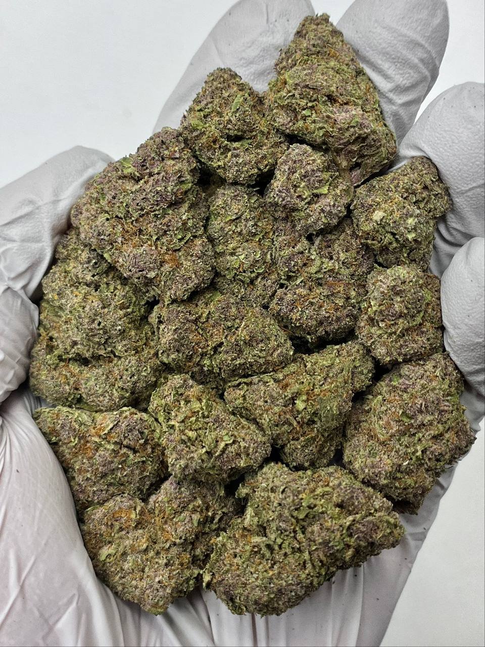 Tropicana Cherries THCa Flower 1 Tropicana Cherries THCa Flower