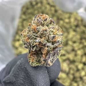Jealousy THCA Flower – Greenhouse Gold Nuggets