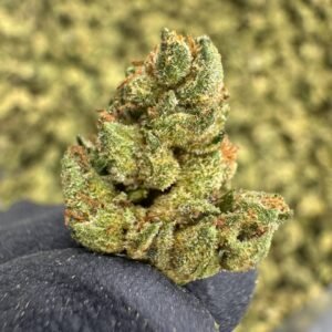 Pineapple Express THCA Flower – Sungrown Gold Nuggets