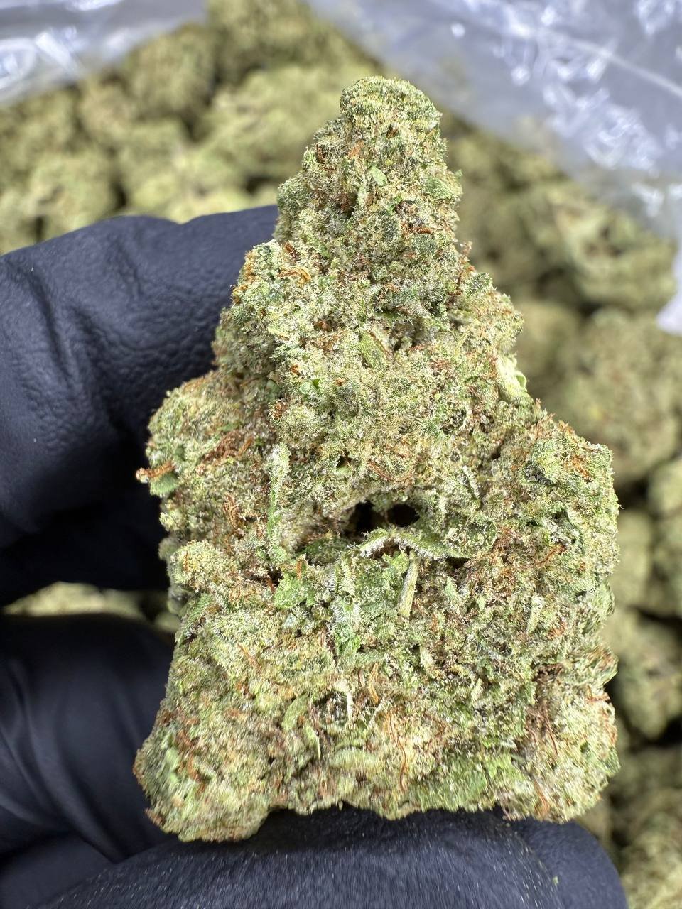 Animal Face THCA Flower – Greenhouse Top Cut 1 Animal Face THCA Flower – Greenhouse Top Cut
