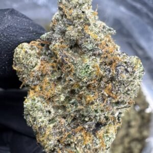 Apple Scotti THCA Flower – Indoor Exotic Top Cut