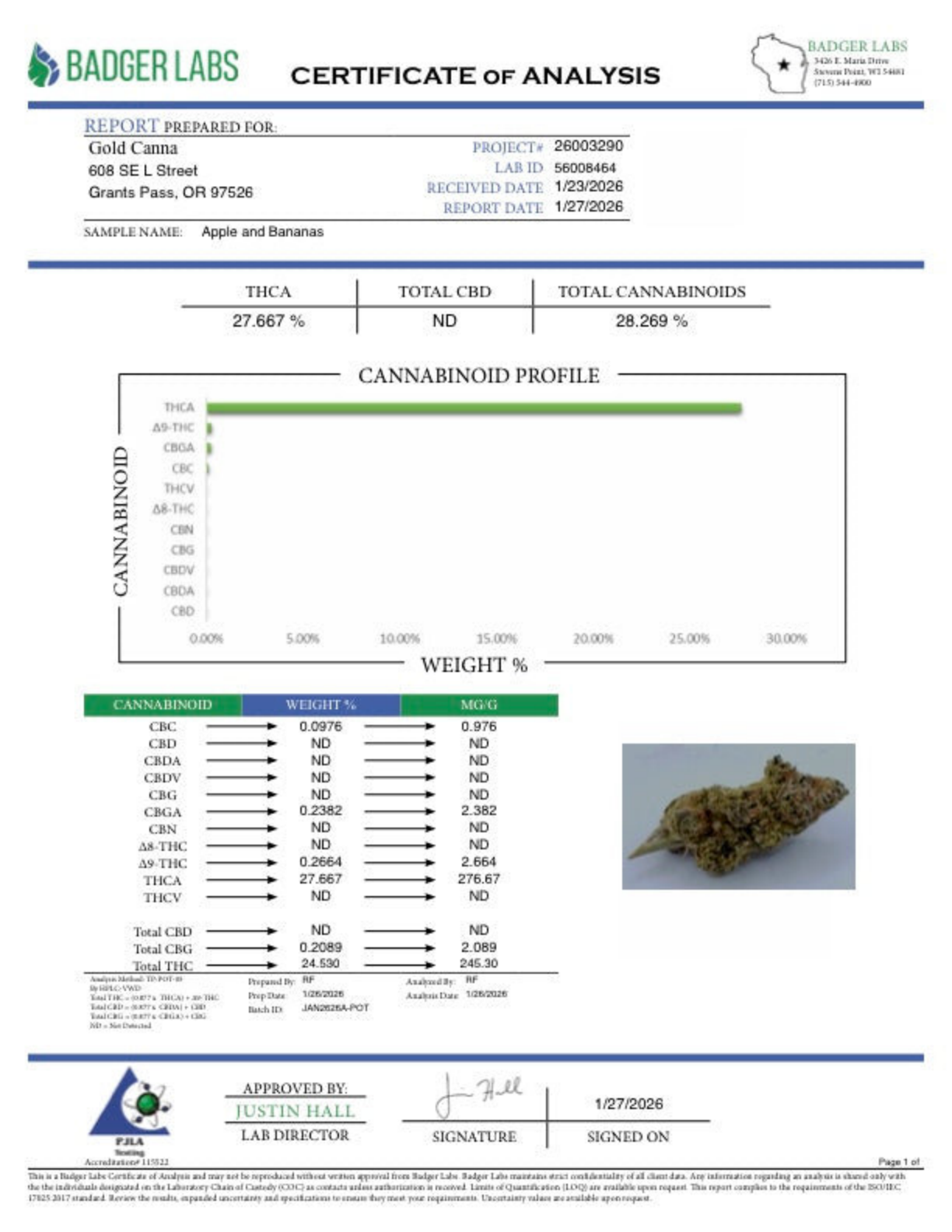 Apples and Bananas THCA Flower – Greenhouse Gold Nuggets 2 Apples and Bananas THCA Flower – Greenhouse Gold Nuggets - Image 2