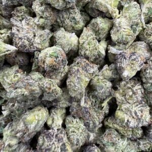 Bacio Gelato THCA Flower – Indoor Exotic Gold Nuggets