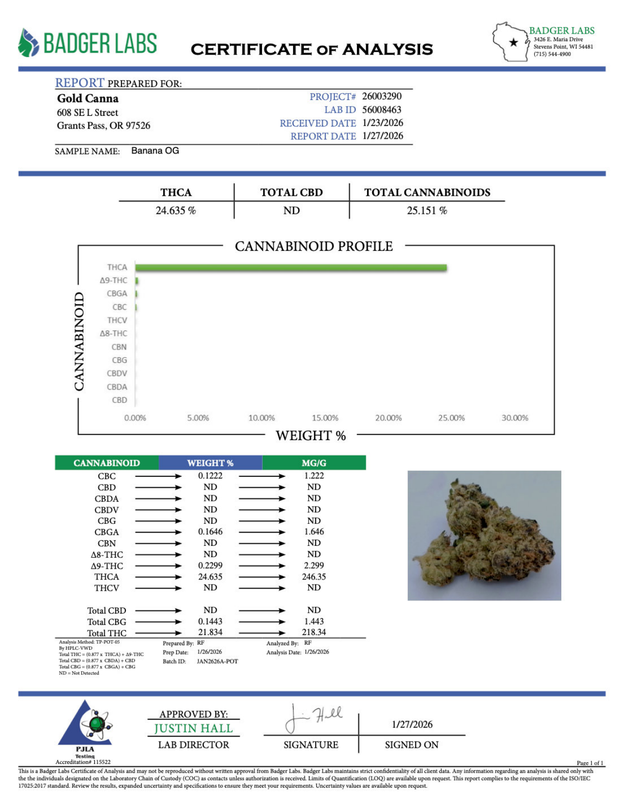 Banana OG THCA Flower – Sungrown Gold Nuggets 1 Banana OG THCA Flower – Sungrown Gold Nuggets