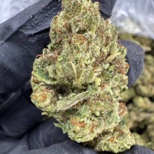 Biscotti THCA Flower – Sungrown Top Cut
