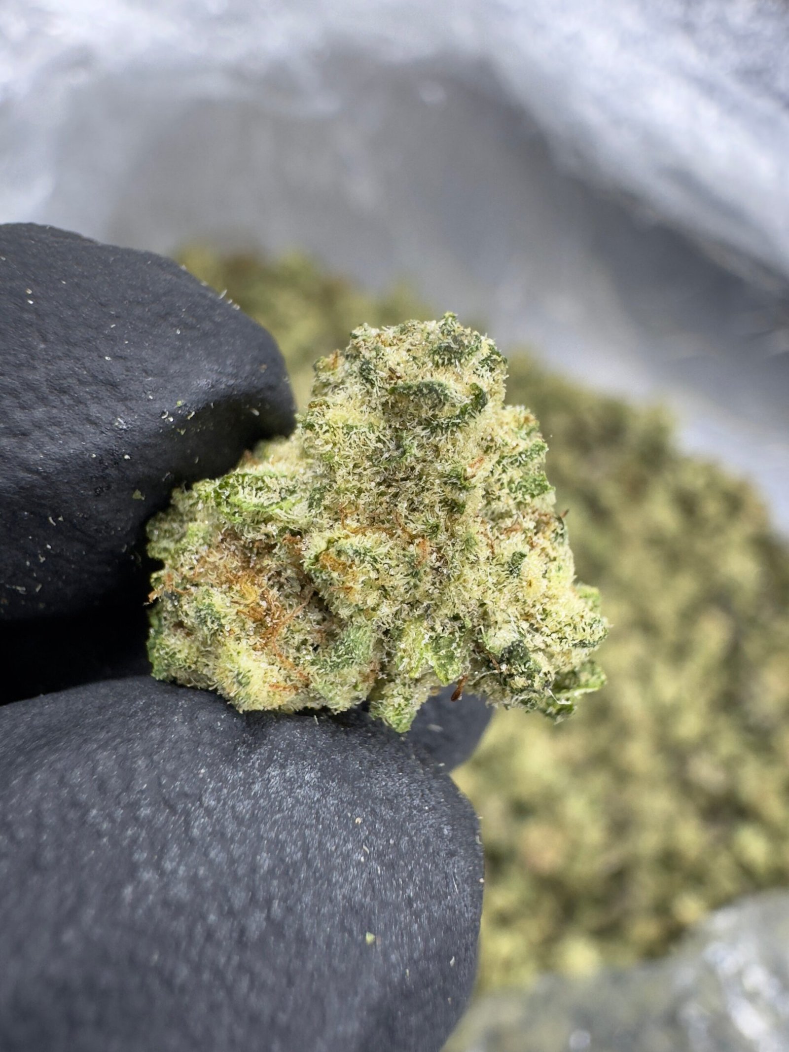 Black Amber THCA Flower – Greenhouse Gold Nuggets 1 Black Amber THCA Flower – Greenhouse Gold Nuggets