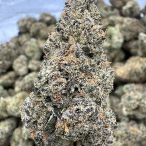 Black Cherry Funk THCA Flower – Indoor Exotic Top Cut