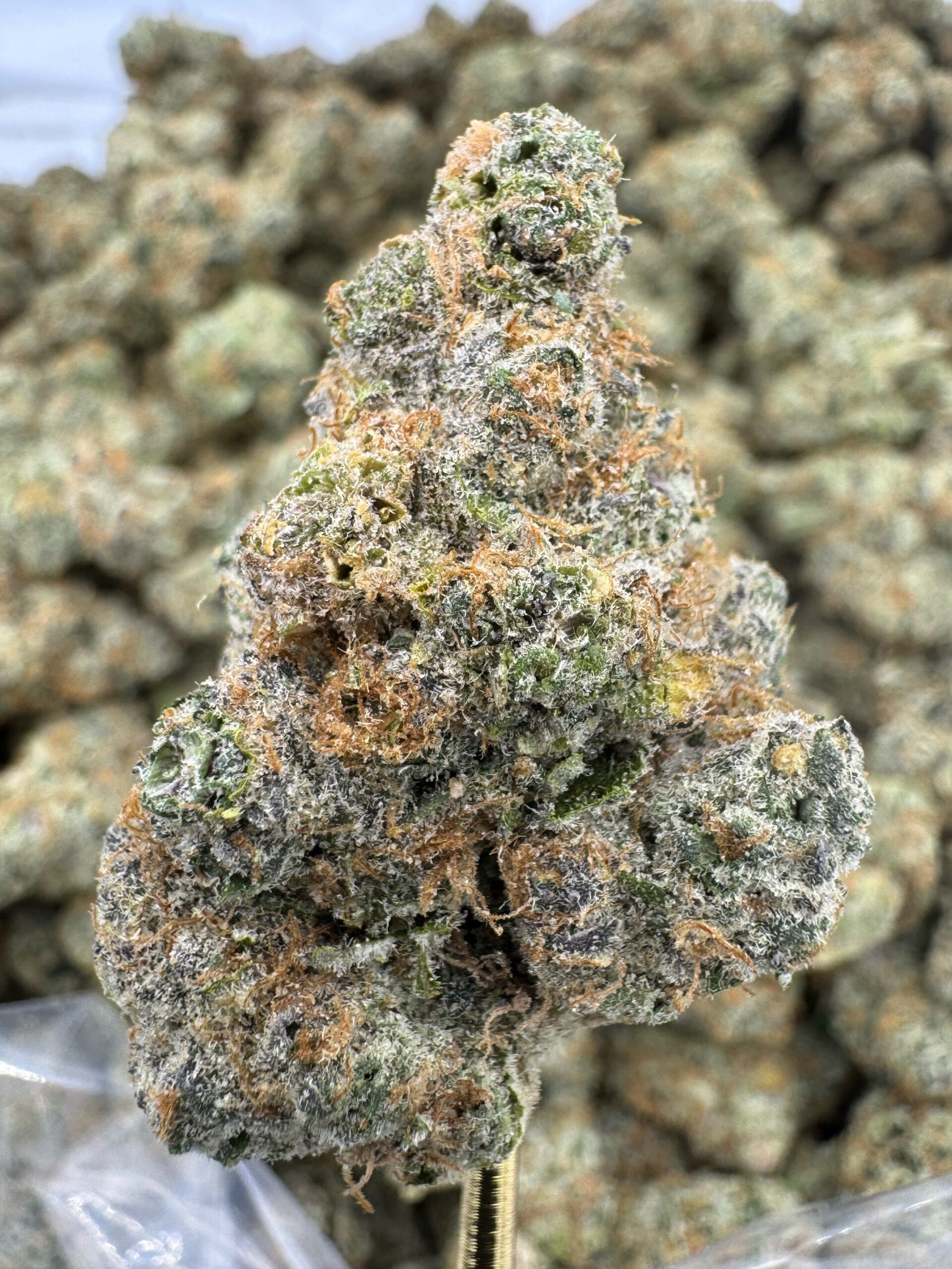 Blackberry Super Boof THCA Flower – Indoor Exotic Top Cut 1 Blackberry Super Boof THCA Flower – Indoor Exotic Top Cut