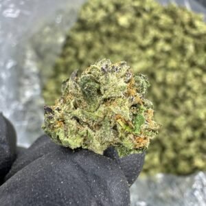 Blue Dream THCA Flower – Sungrown Gold Nuggets