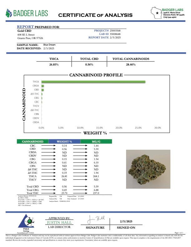 Blue Dream THCA Flower – Greenhouse Gold Nuggets 1 Blue Dream THCA Flower – Greenhouse Gold Nuggets