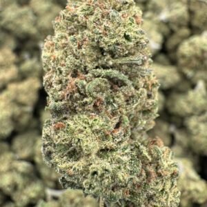 Blue Dream THCA Flower – Greenhouse Top Cut