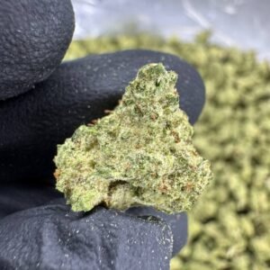 Blueberry Muffin THCA Flower – Greenhouse Gold Nuggets