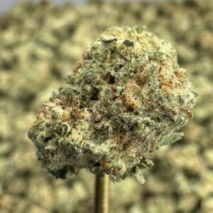 Blueberry Muffin THCA Flower – Indoor Gold Nuggets