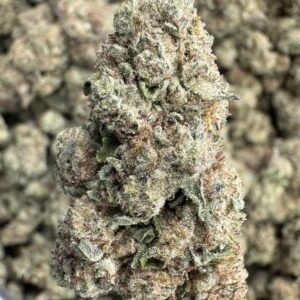 Blueberry Muffin THCA Flower – Indoor Top Cut