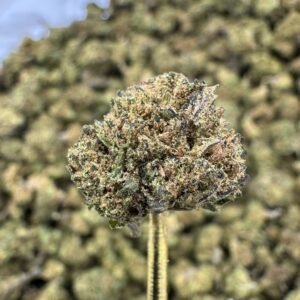 Bubba Kush CBD Flower – Sungrown Gold Nuggets