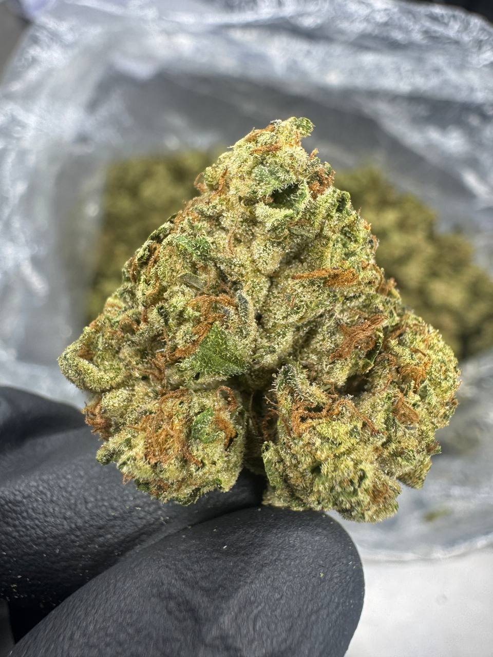 Cherry Pie THCA Flower – Sungrown Top Cut 1 Cherry Pie THCA Flower – Sungrown Top Cut