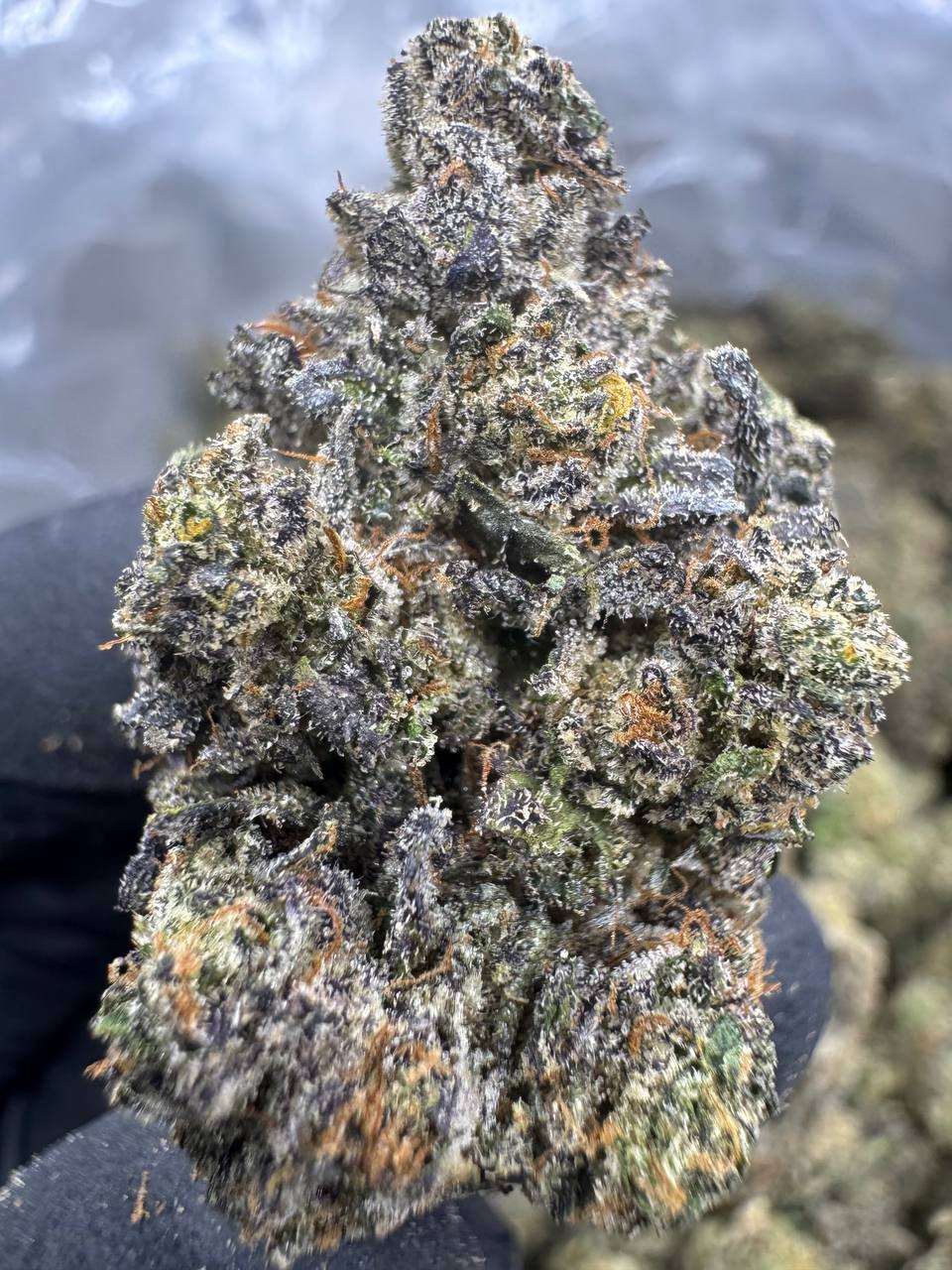 Cherry Pie Runtz THCA Flower – Indoor Exotic Top Cut 1 Cherry Pie Runtz THCA Flower – Indoor Exotic Top Cut