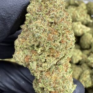 Cinderella 99 THCA Flower – Greenhouse Top Cut