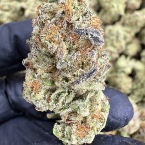 Cookies and Cream THCA Flower – Sungrown Top Cut