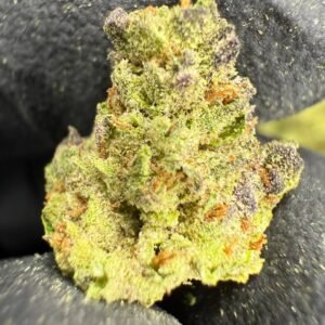 Cookies and Cream THCA Flower – Greenhouse Gold Nuggets