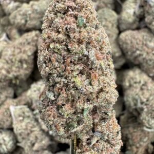 Critical Berries CBD Flower – Sungrown Top Cut