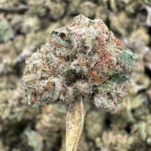 Death Star THCA Flower – Greenhouse Gold Nuggets