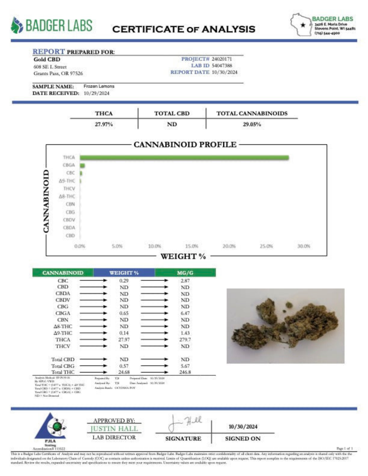 Frozen Lemons THCA Flower – Greenhouse Gold Nuggets 2 Frozen Lemons THCA Flower – Greenhouse Gold Nuggets - Image 2