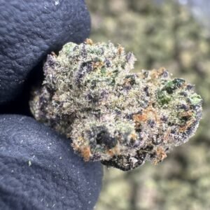 Funnel Cake THCA Flower – Indoor Exotic Gold Nuggets