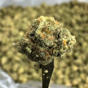 Gas Face THCA Flower – Sungrown Gold Nuggets