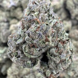 Gas Face THCA Flower – Sungrown Top Cut
