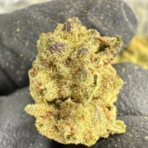 Gelato 41 THCA Flower – Greenhouse Gold Nuggets