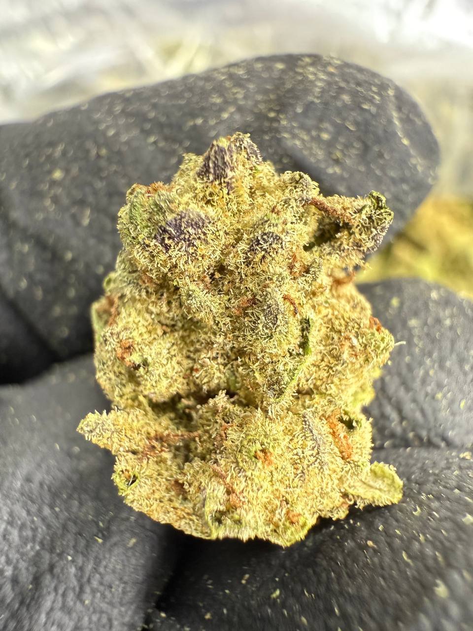 Gelato 41 THCA Flower – Greenhouse Gold Nuggets 1 Gelato 41 THCA Flower – Greenhouse Gold Nuggets