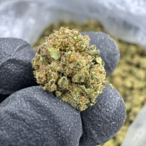Gelato King THCA Flower – Greenhouse Gold Nuggets